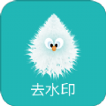 QQ